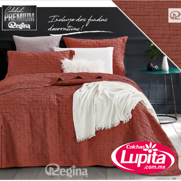 SET DE EDREDON BORDATECH SIMONE MAT/QS (Regina 24)
