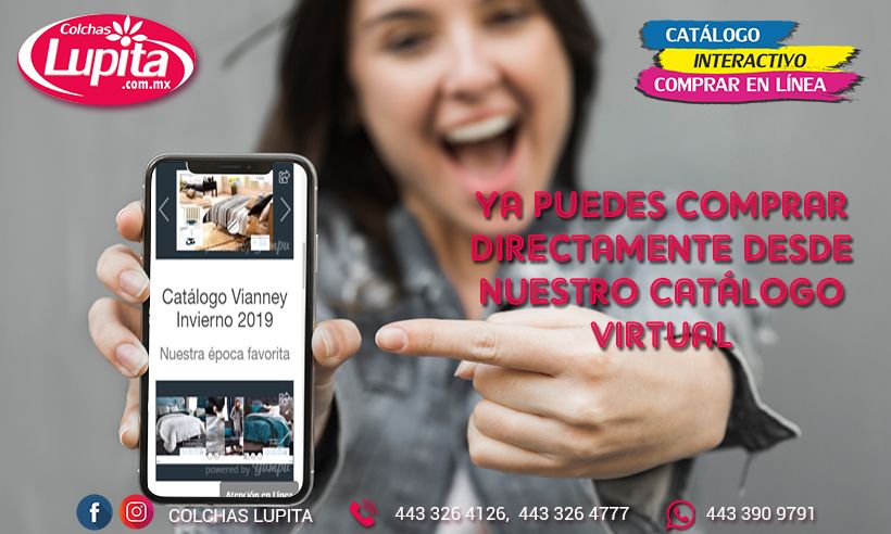 Odoo CMS - una imagen grande