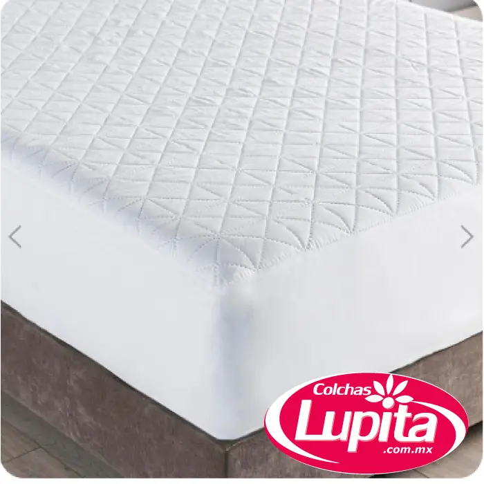 PROTECTOR DE COLCHON MAT BASICO PLUS (Vianney 23)