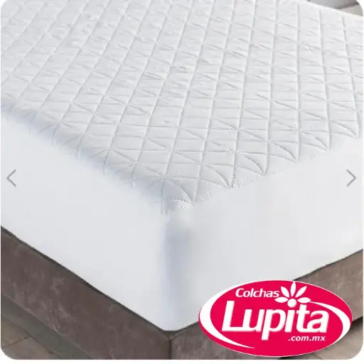[000249650004] PROTECTOR DE COLCHON QS BASICO PLUS (Vianney 23)