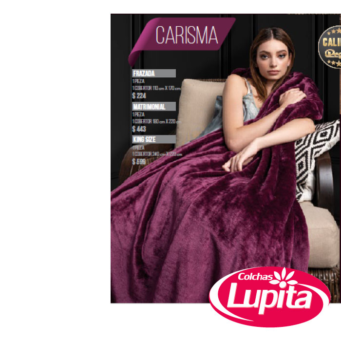 COBERTOR LIGERO 300 CARISMA MATRIMONIAL (Regina)