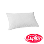 ALMOHADA STD ANTIVIRAL IMPERMEABLE (Vianney 23)