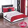 EDREDON ULTRASOFT LOREIN KING SIZE (Elefantito)